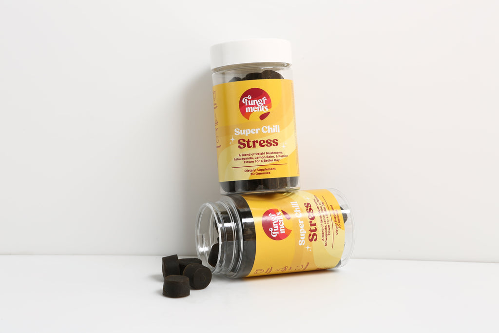 Super Chill - Sleep & Relax, Healthy Cortisol, Reishi, Ashwagandha, L-Theanine - 30 Count