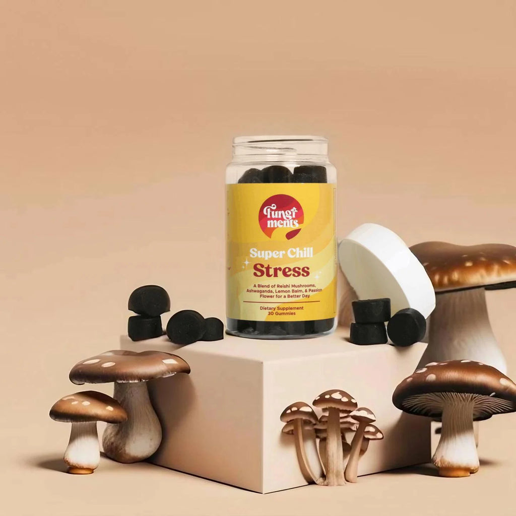 Super Chill - Sleep & Relax, Healthy Cortisol, Reishi, Ashwagandha, L-Theanine - 30 Count